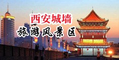 强奸淫荡美少妇中国陕西-西安城墙旅游风景区